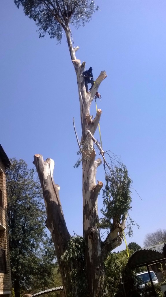 i284008264501422370._szw1280h1280_